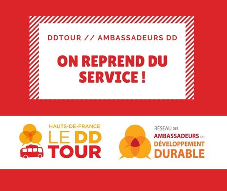 Service DDTOUR AMBASSADEUR 2020
